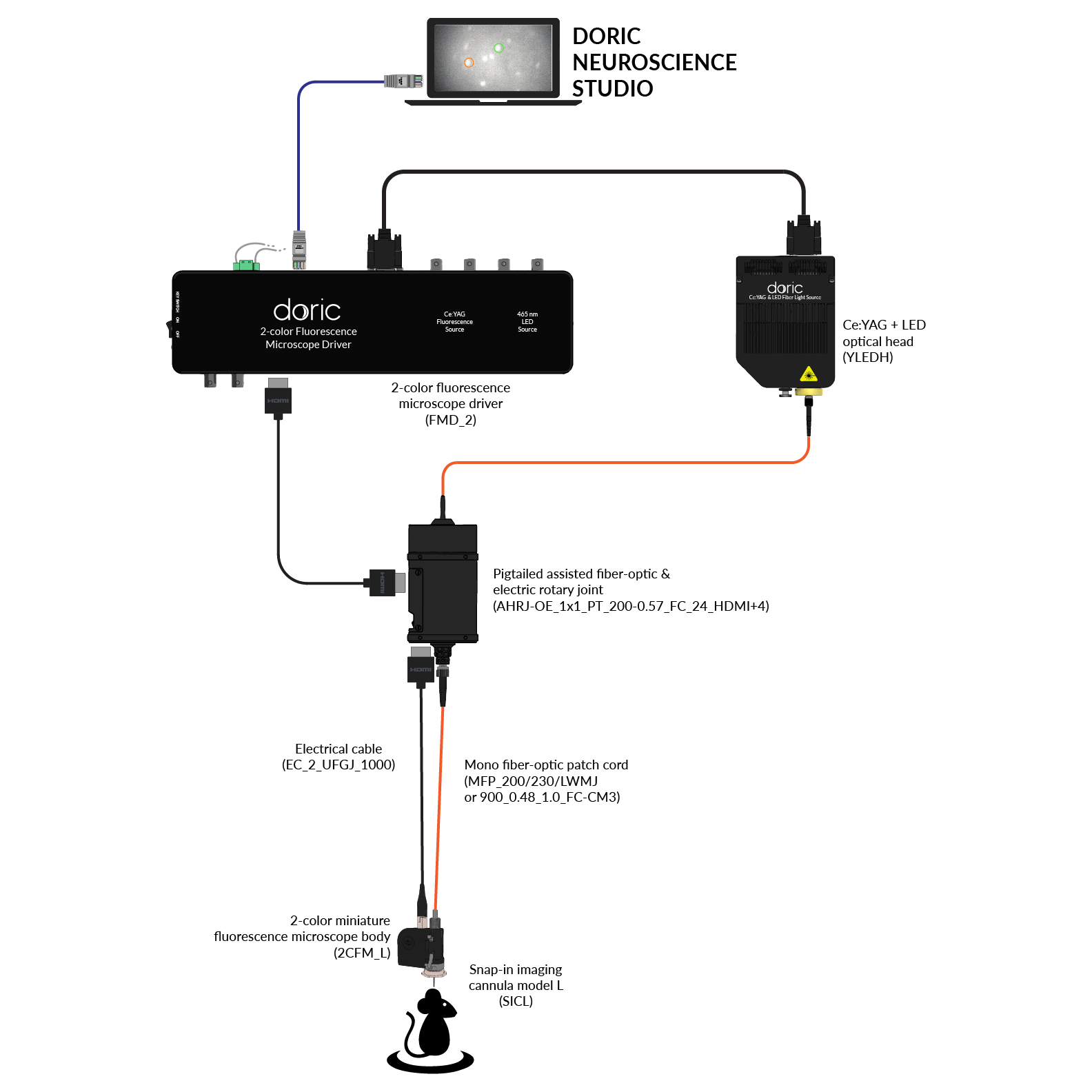 2-color Fluorescence Microscopy System