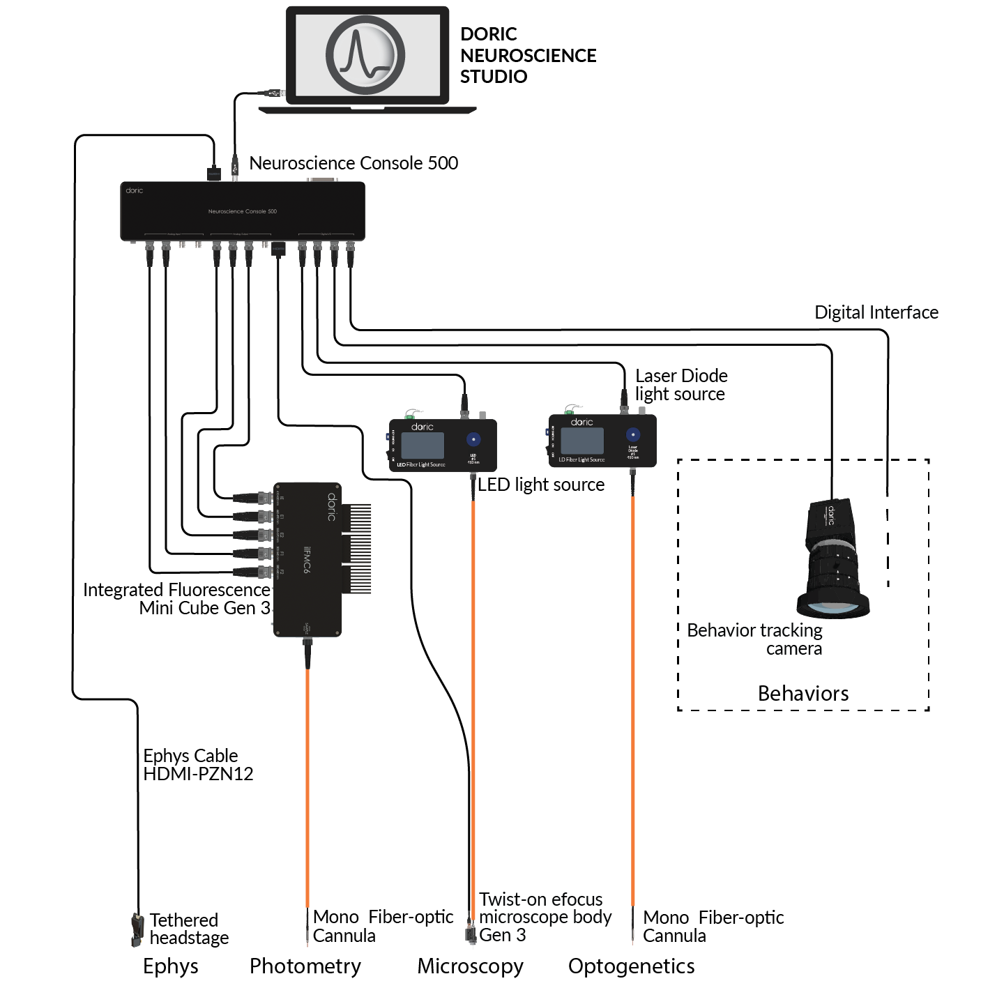 Neuroscience Console 500