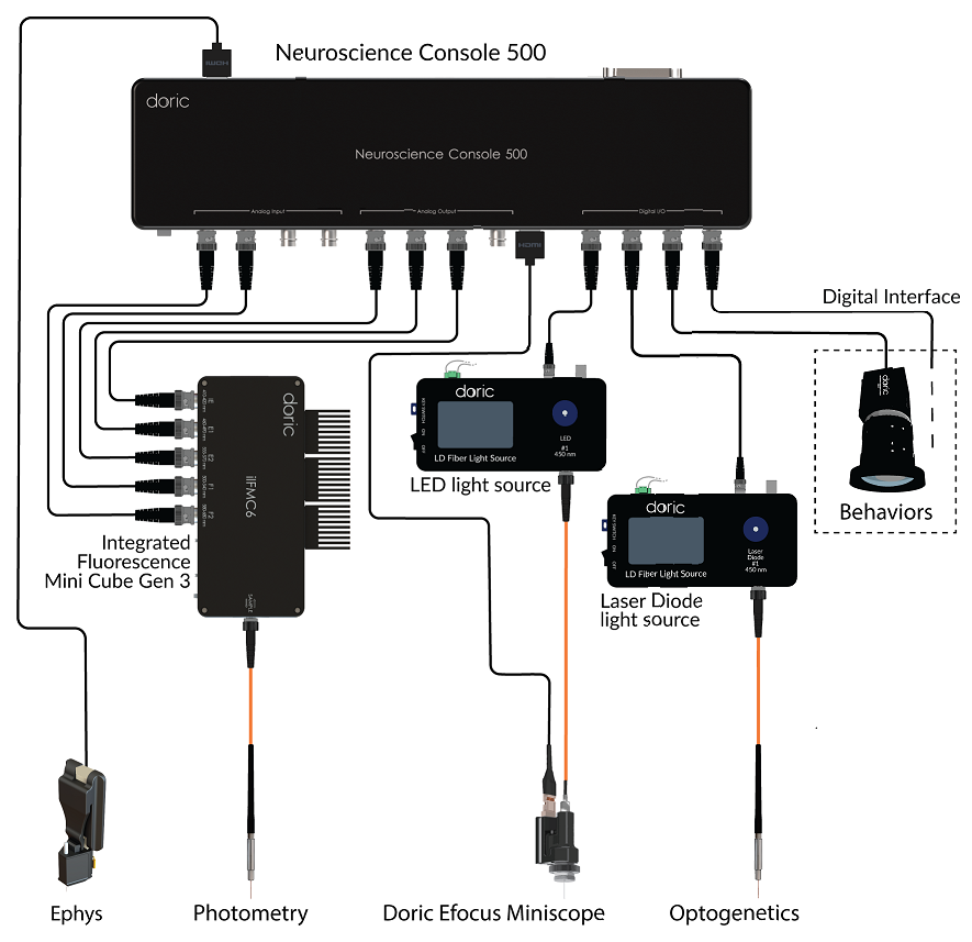 Neuroscience Console 500