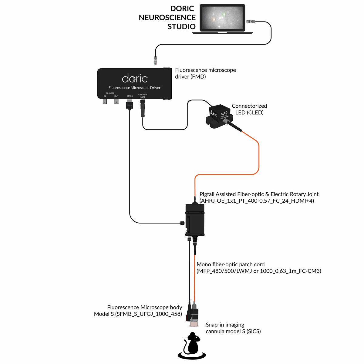Snap-in Surface Fluorescence Microscopy systems