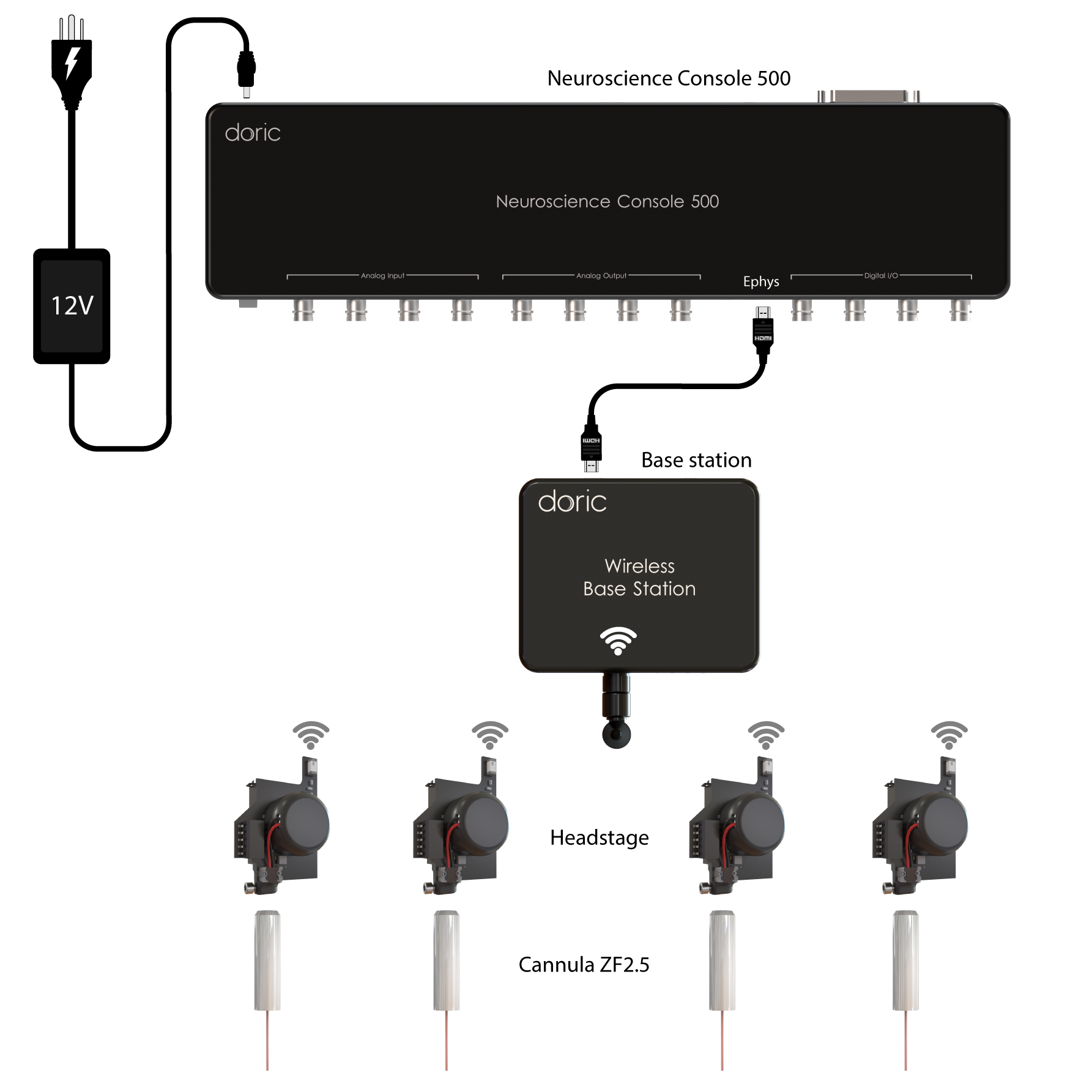 Wireless Fiber Photometry System