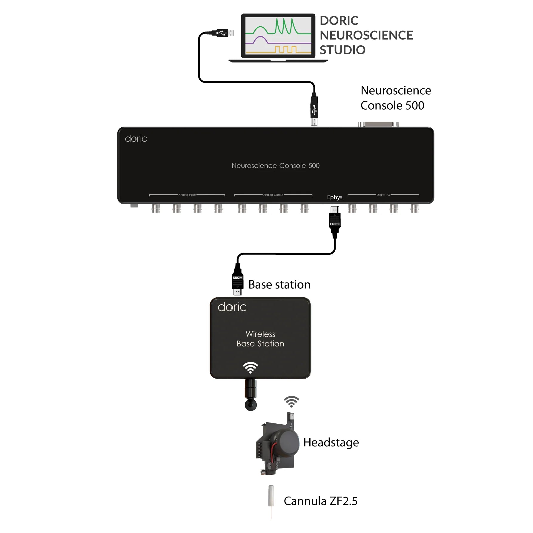 Wireless Fiber Photometry System