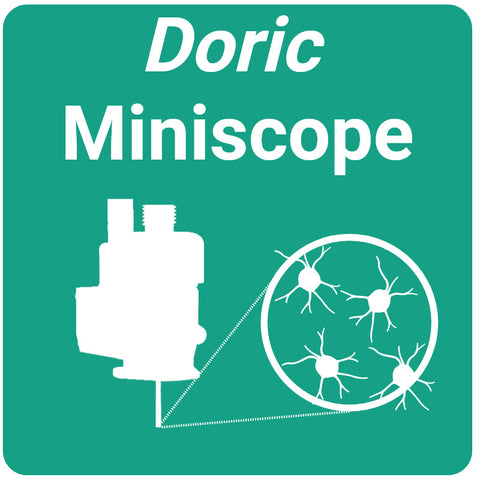 Microscope à fluorescence cérébrale profonde 1 couleur Gen 3