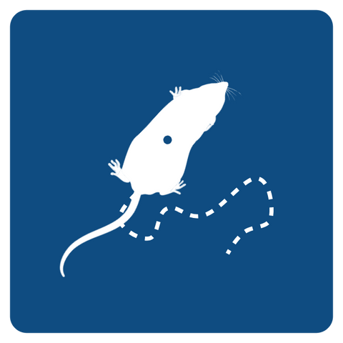 Behavior Cameras & Accessories