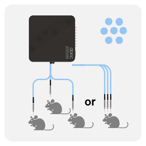 Bundle-imaging Fiber Photometry (BFMC)