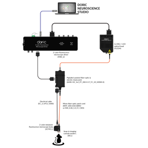 2-color Fluorescence Microscopy System