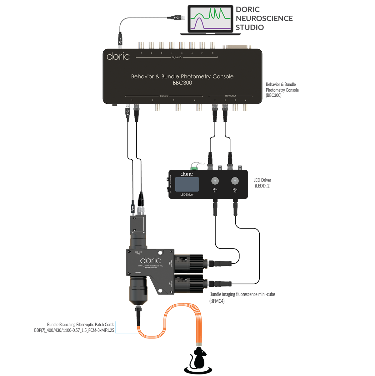 2024 Bundle for sfn