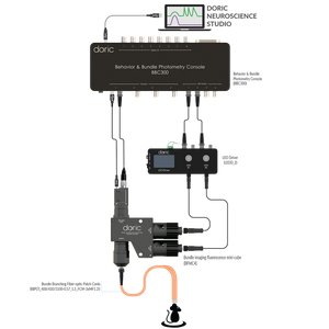 Bundle-imaging Fiber Photometry System