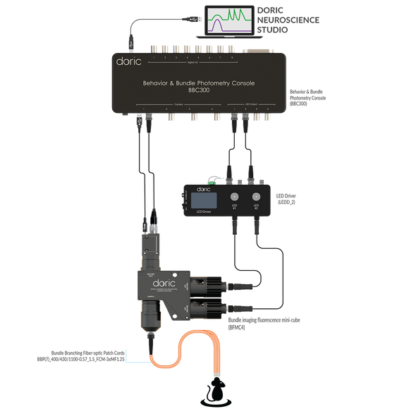 Bundle-imaging Fiber Photometry System