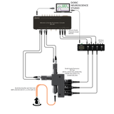 Bundle-imaging Fiber Photometry System