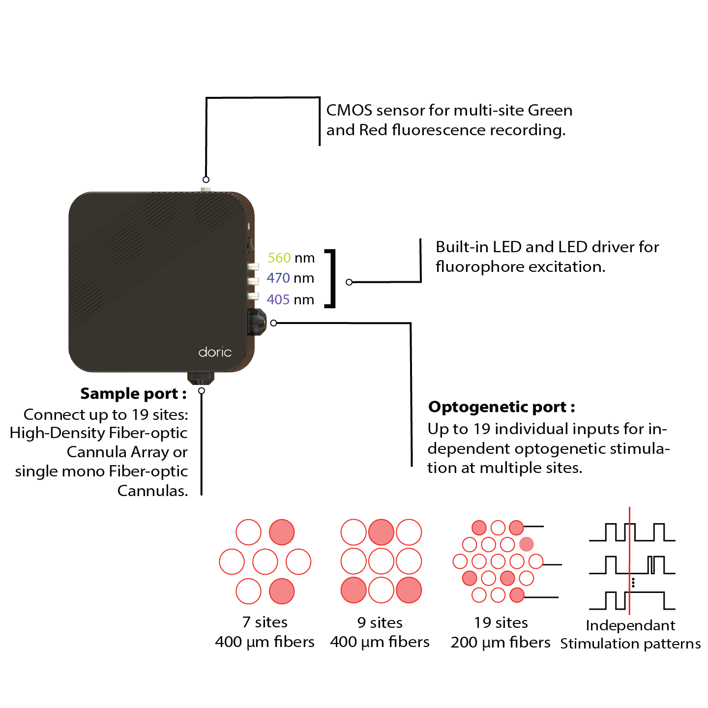Bundle-imaging Fiber Photometry Cube with Targeted Optogenetics