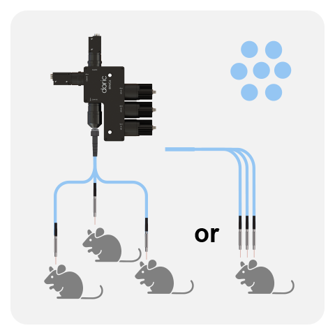 Bundle-imaging Fiber Photometry System (modular)