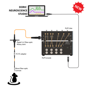 FluoPulse™ system