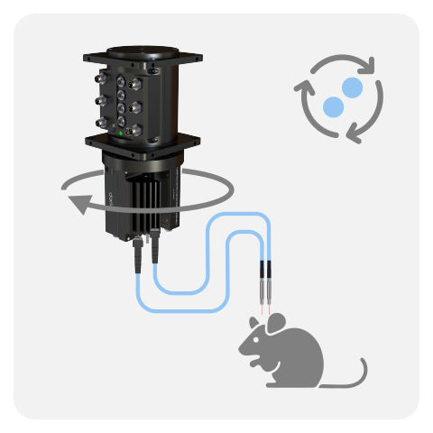 Rotary Fiber Photometry System