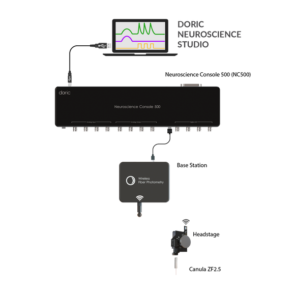 Wireless Fiber Photometry System