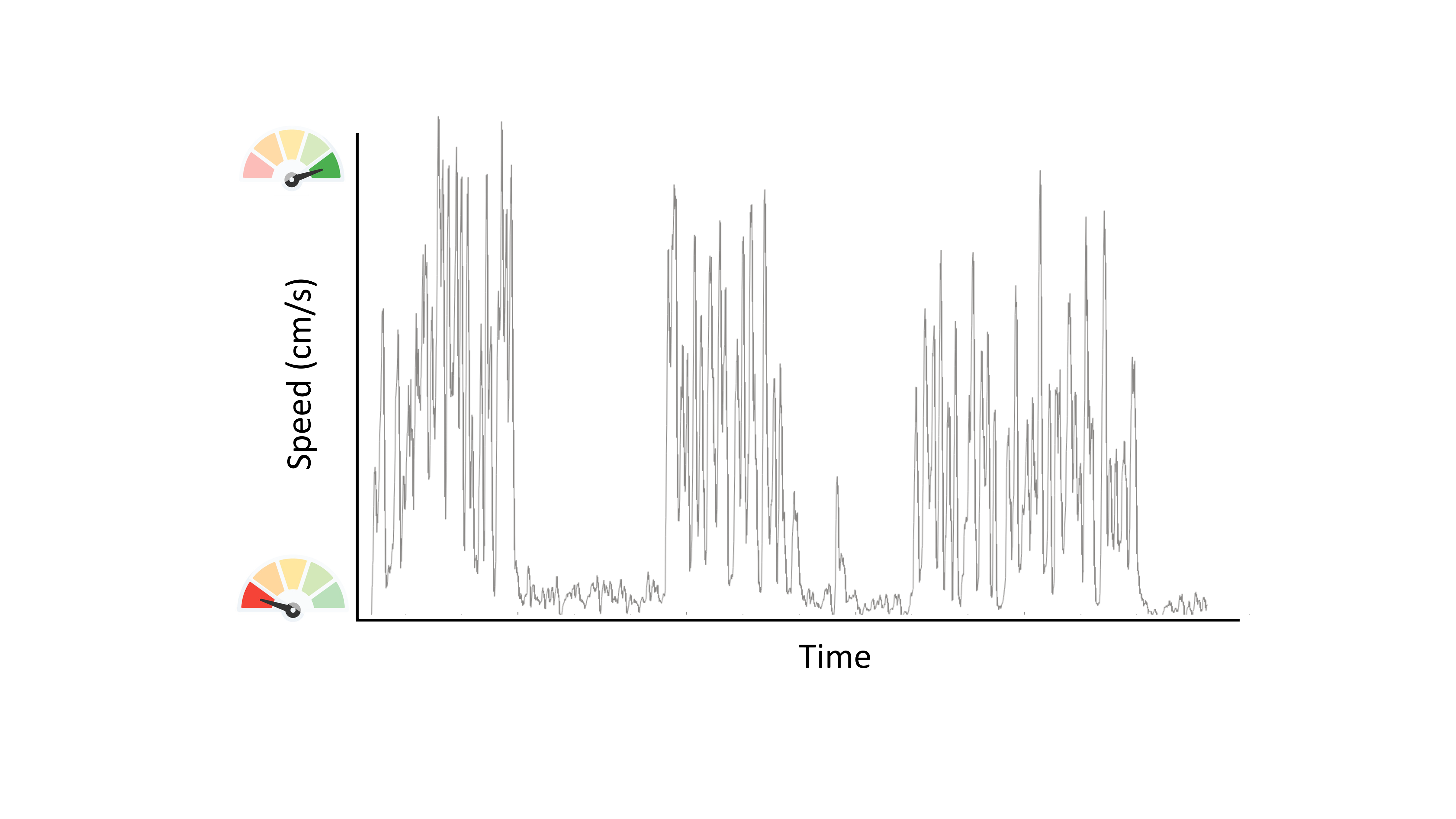 danse-Beh-Speed.png__PID:72c05d07-ae3a-4a15-aef7-64520df680f4