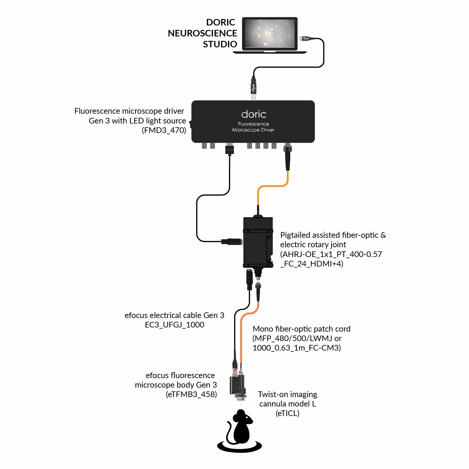 efocus Fluorescence Microscopy System Gen 3