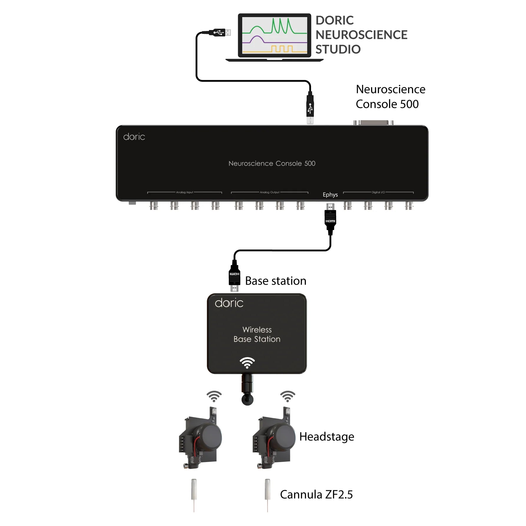 Wireless Fiber Photometry System