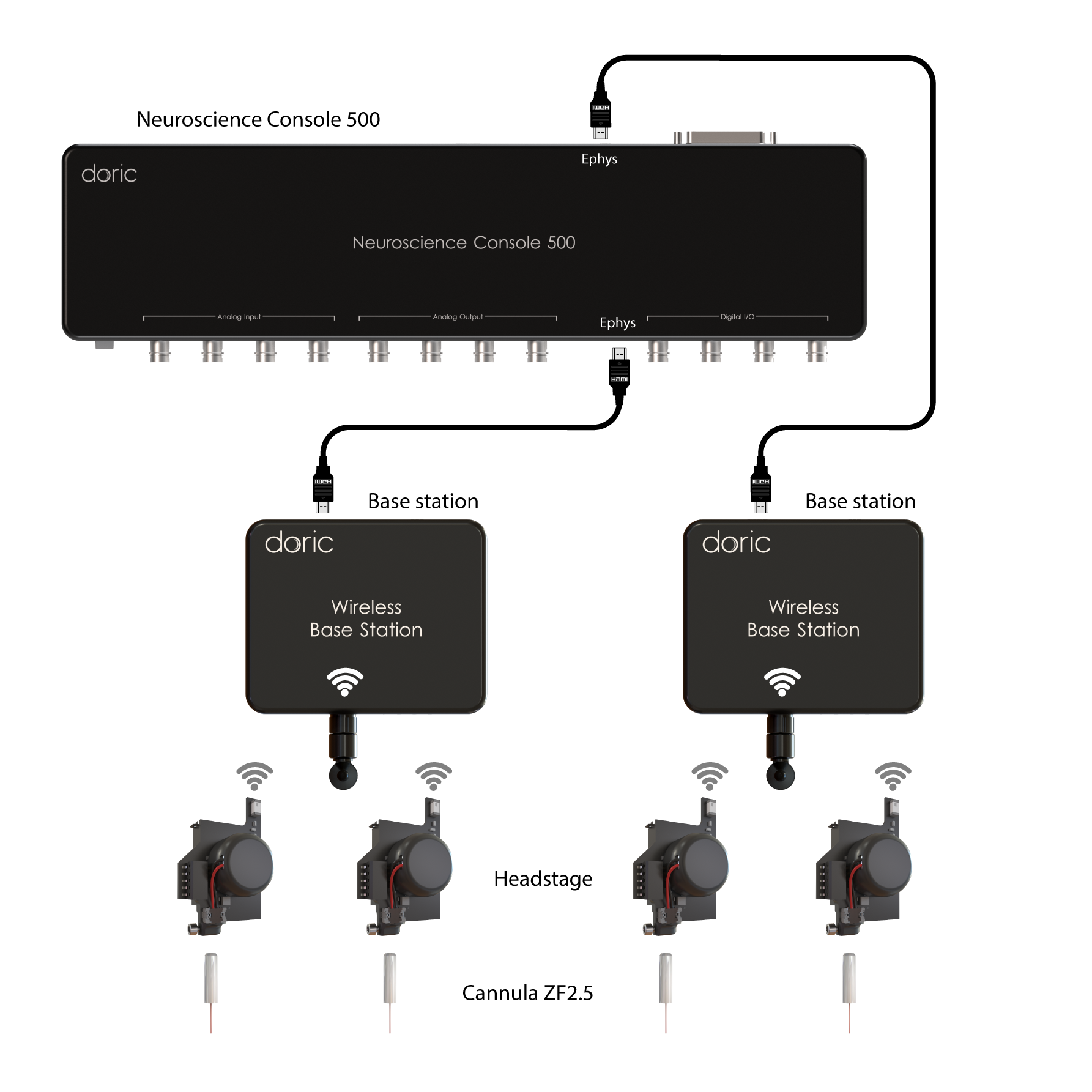 Wireless Fiber Photometry System