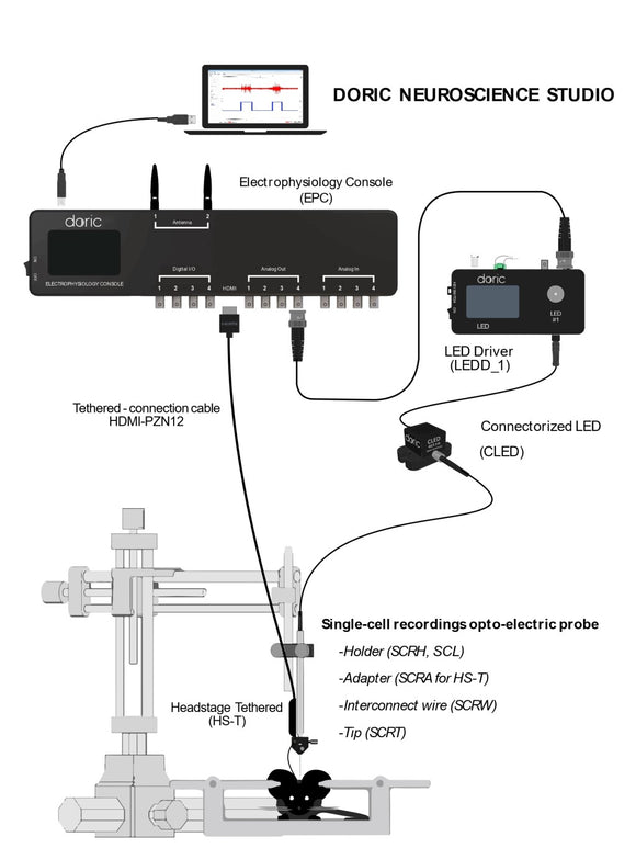 Acute Single-cell Oephys Recording System (OBSOLETE)