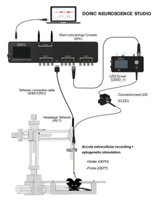 Acute Multi-unit Oephys Recording System