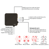 Cube de photométrie de fibre à imagerie groupée avec optogénétique ciblée