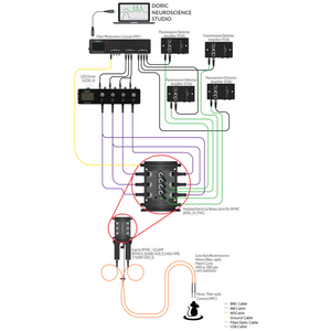 Rotary Fiber Photometry System